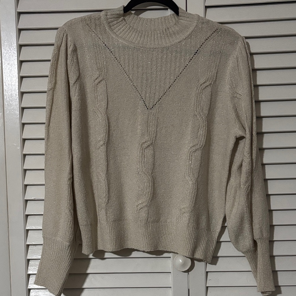 Adrienne Vittadini Light Beige & Gold Cable Knit Sweater